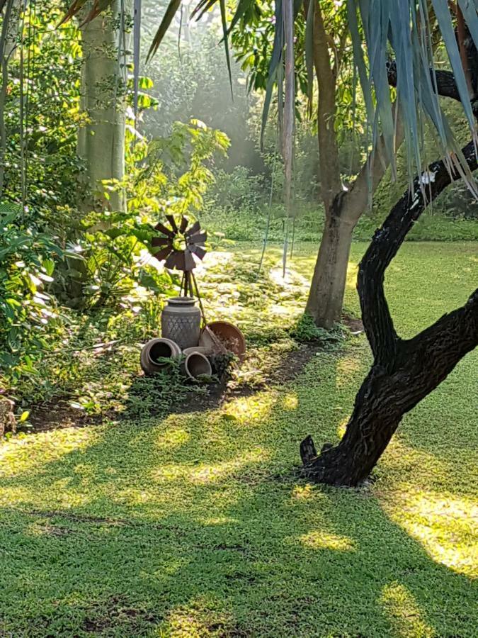 Kruger Allo B&B Komatipoort Exteriér fotografie