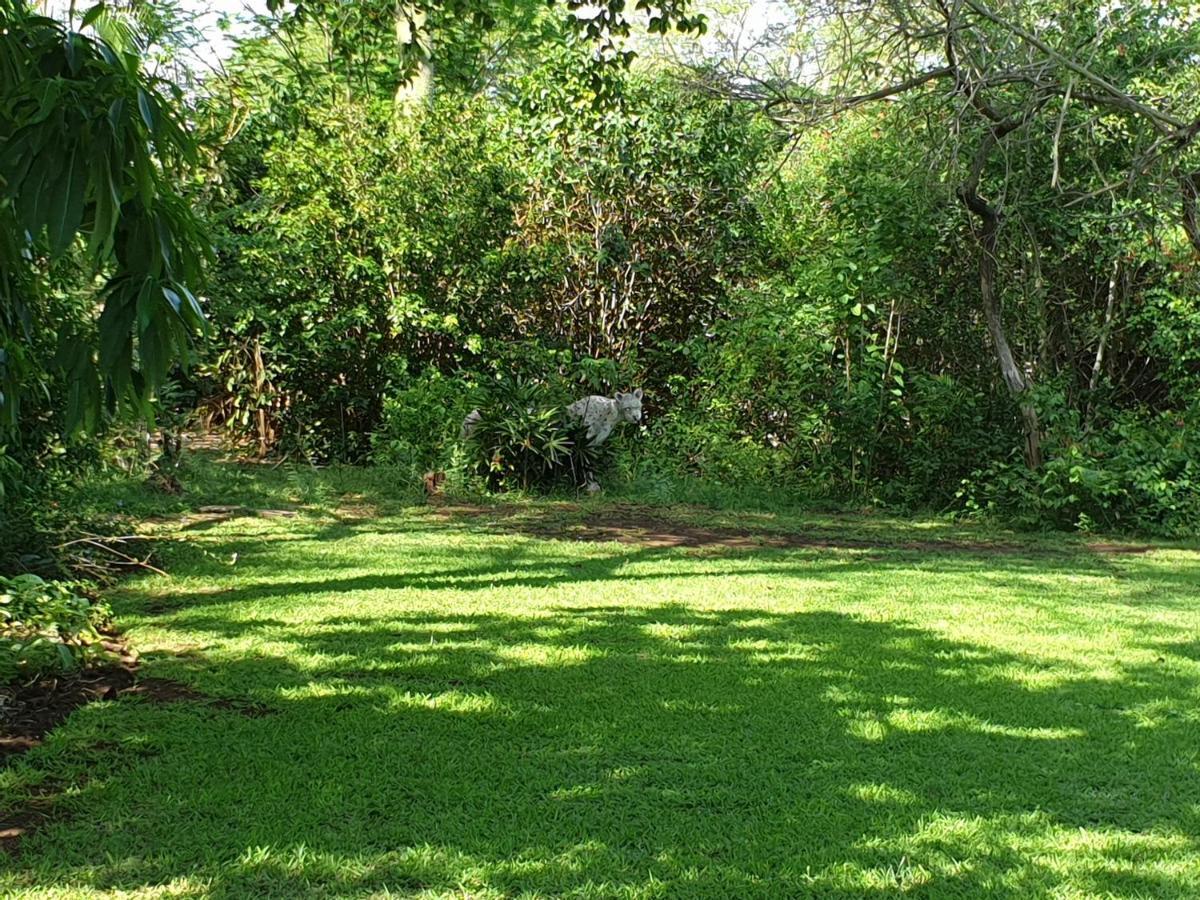 Kruger Allo B&B Komatipoort Exteriér fotografie